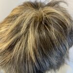 Stylish modern brown highlighted wig. Brss744a
