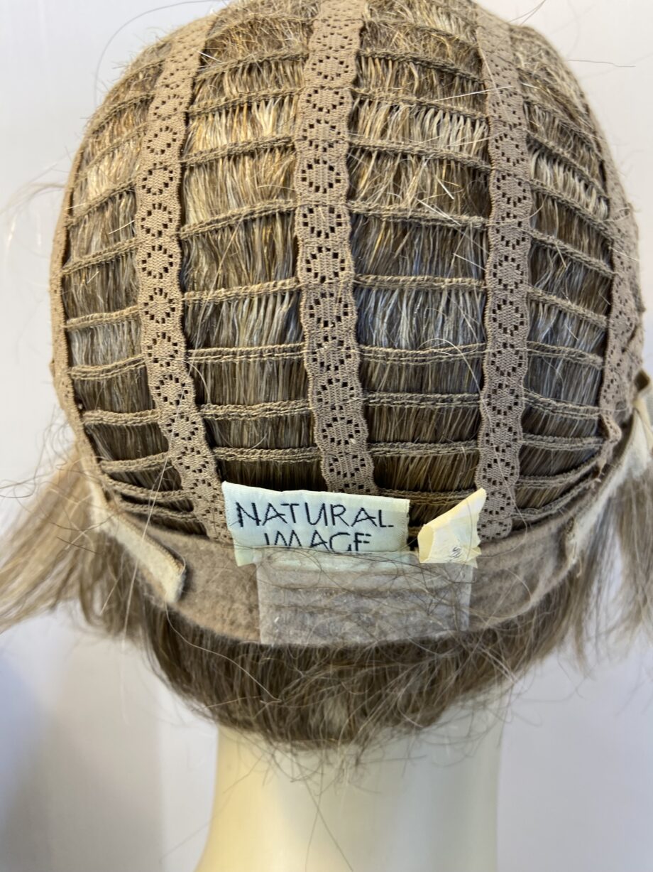 Beautiful blonde natural image wig. Bblss494