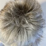 Noriko grey with white flash wig. Bssw496