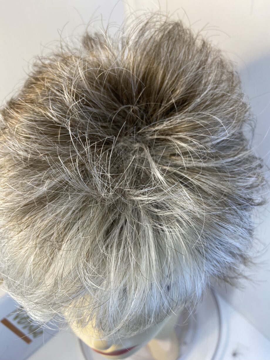 Noriko grey with white flash wig. Bssw496