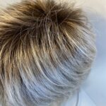 Natural image blonde rooted wig. Bblss500