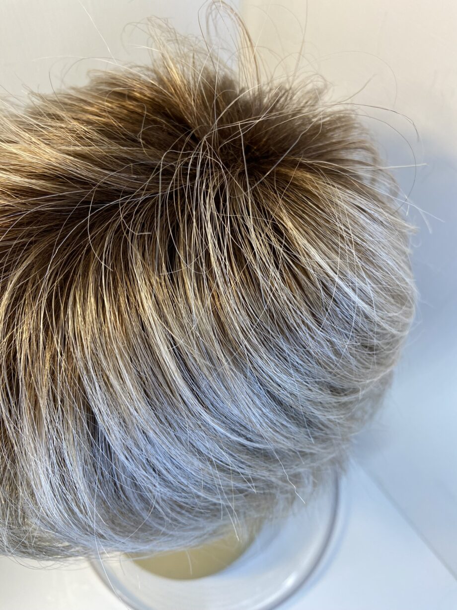 Natural image blonde rooted wig. Bblss500