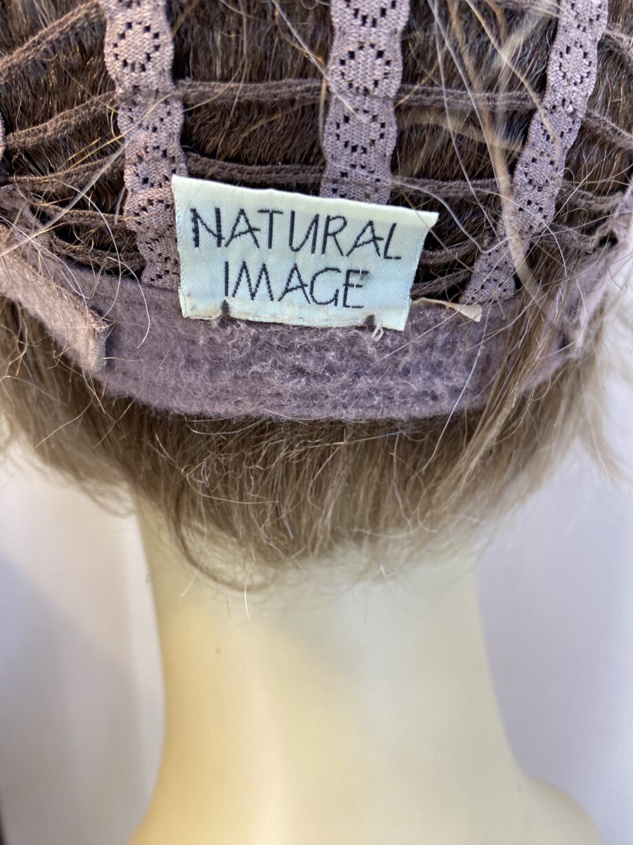 Natural image blonde rooted wig. Bblss500