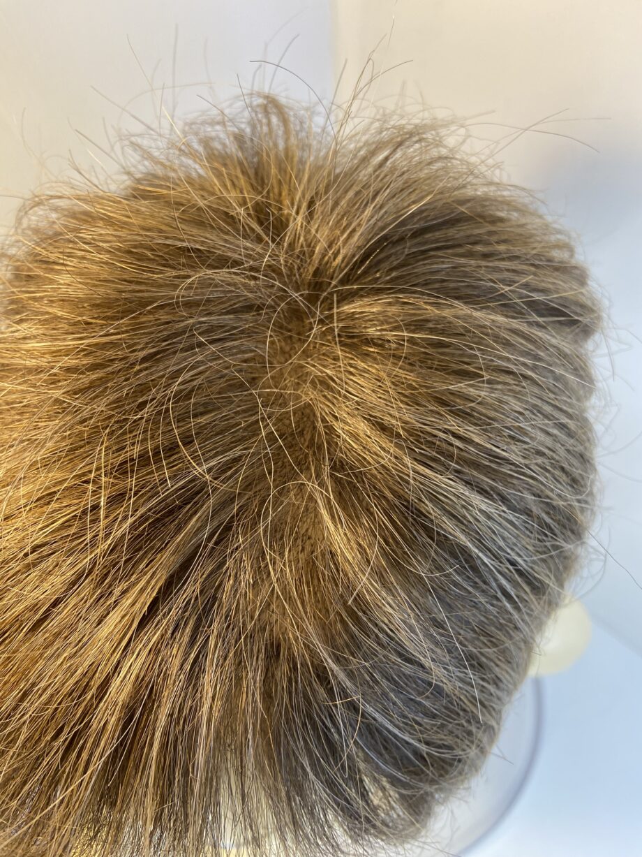 Shiny brown soft cap wig. Hair society. Bbrss517