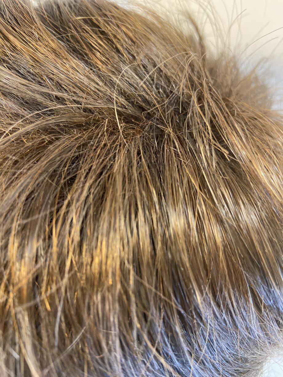 New Brown Raquel Welch wig. Bbrsw601