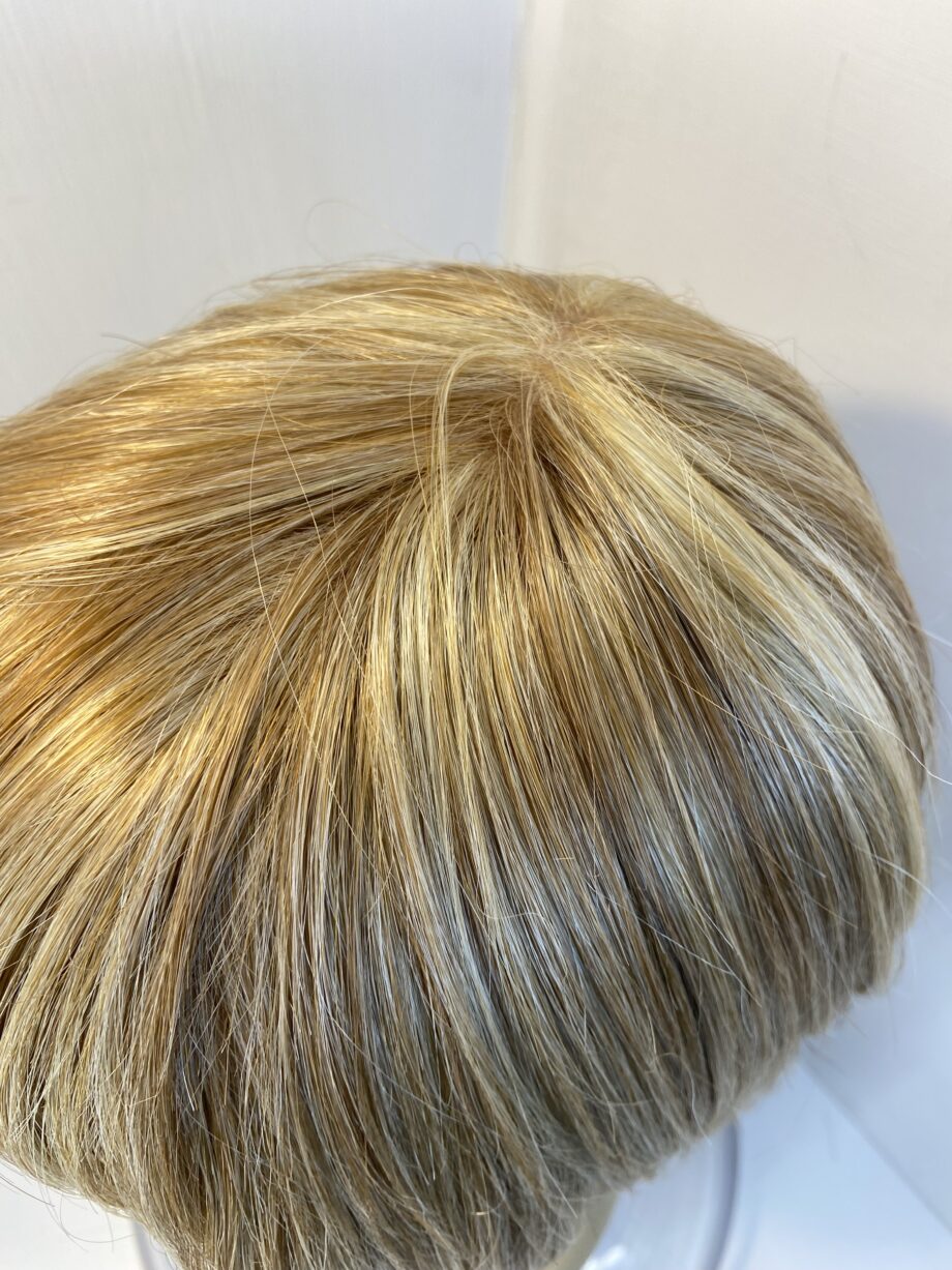 Blonde highlighted wig. Blms593