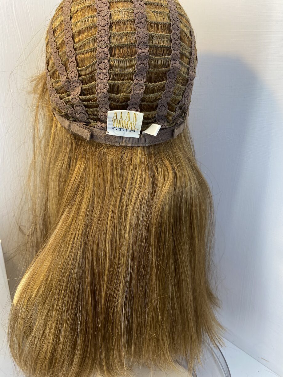 Stunning long Alan Thomas wig. Bblls602