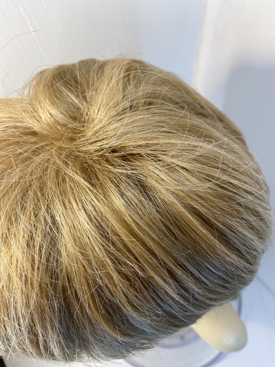 Lovely Blonde boxed short wig. Bblss615