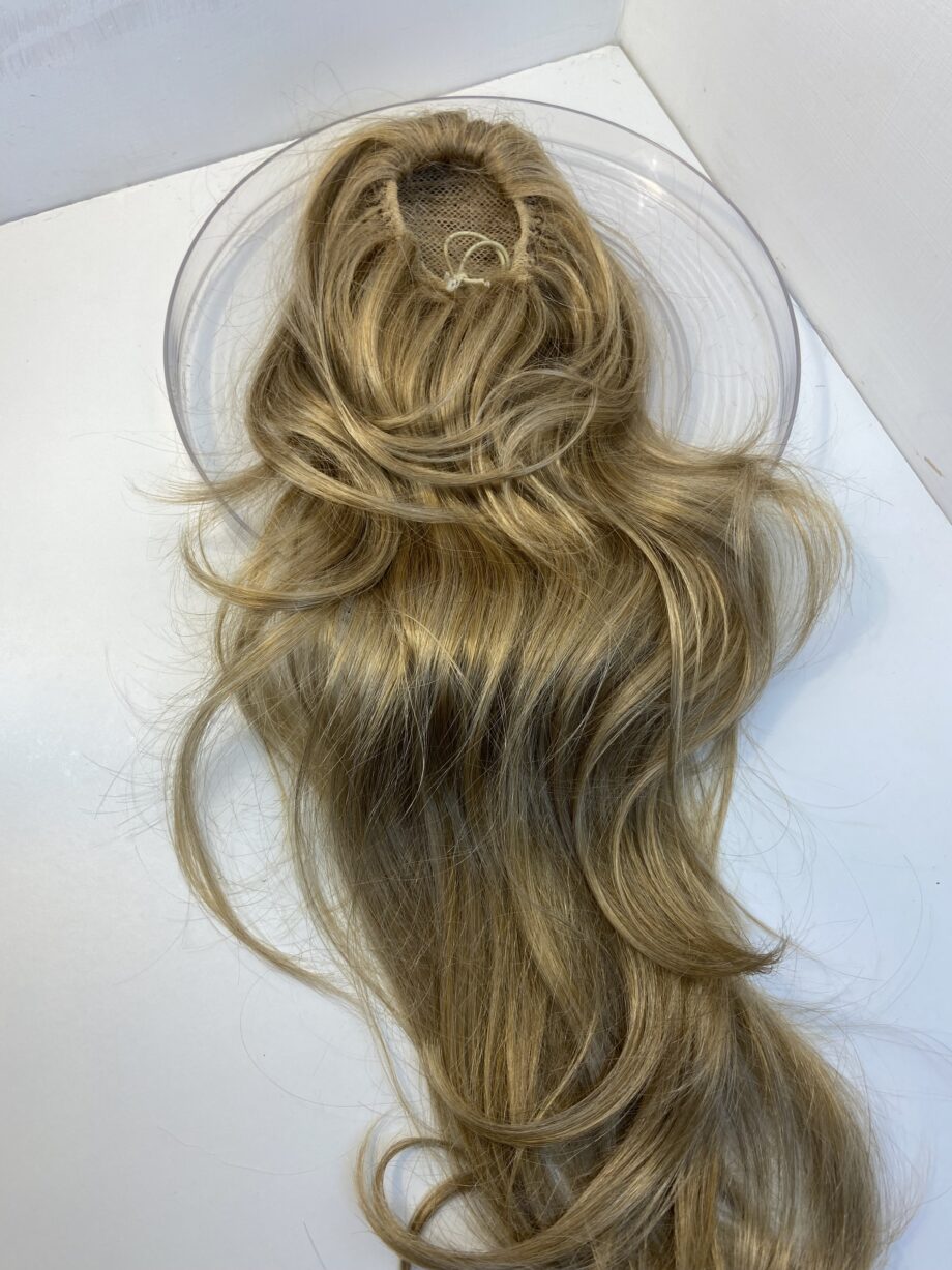 Long blonde pony tail. Bllw06