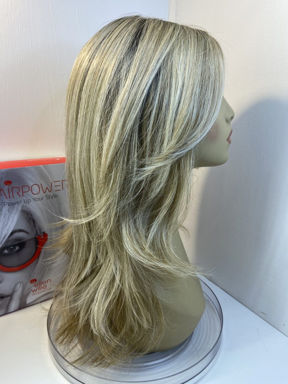 Never worn long blonde wig. Bblls620