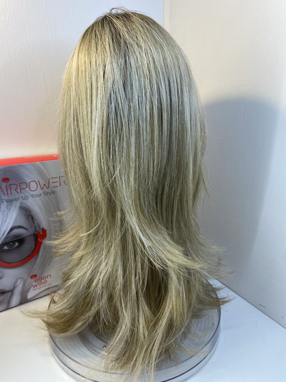 Never worn long blonde wig. Bblls620