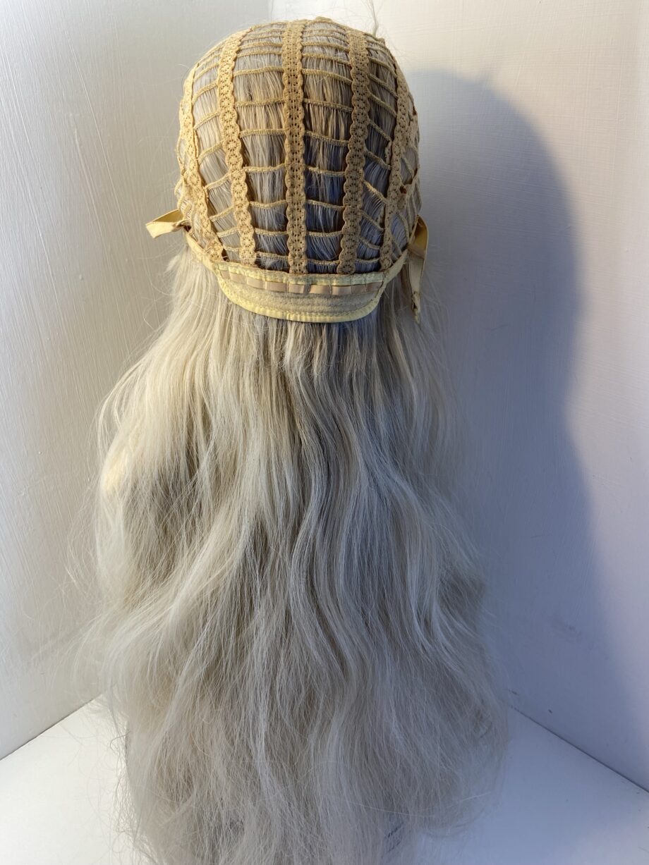 Extra long stunning blonde rooted wig. Bllw13