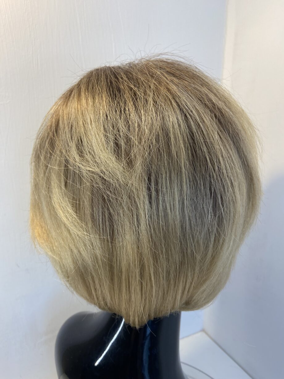 New soft light brown/ blonde  rooted wig. Blss615