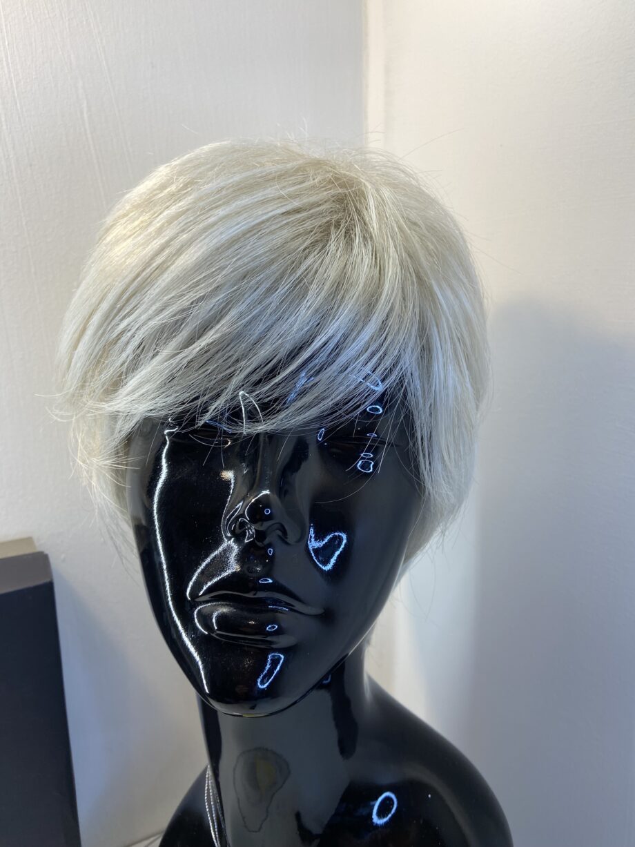 Stunning Silver moon new Gabor wig. Bgss638