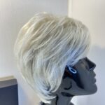 Stunning Silver moon new Gabor wig. Bgss638