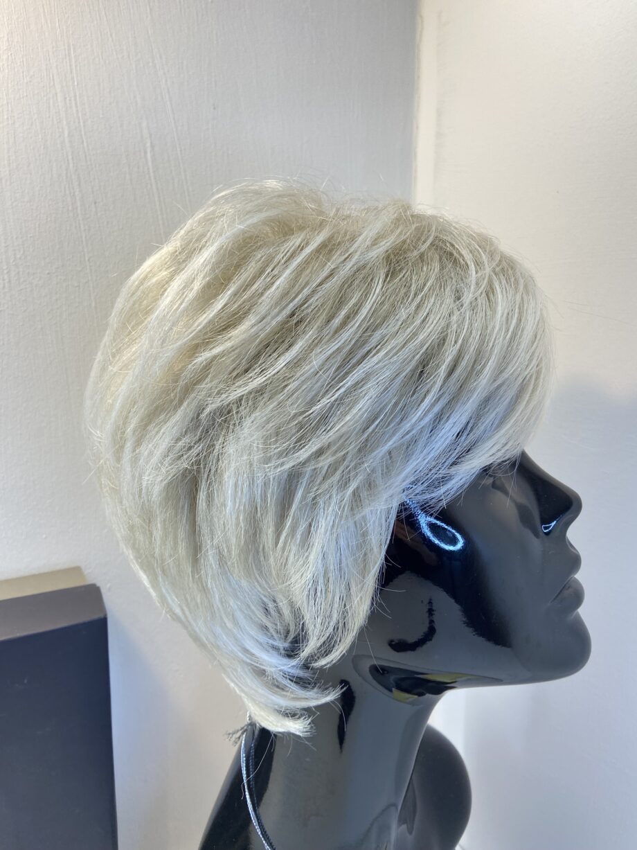 Stunning Silver moon new Gabor wig. Bgss638