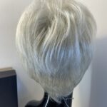 Stunning Silver moon new Gabor wig. Bgss638