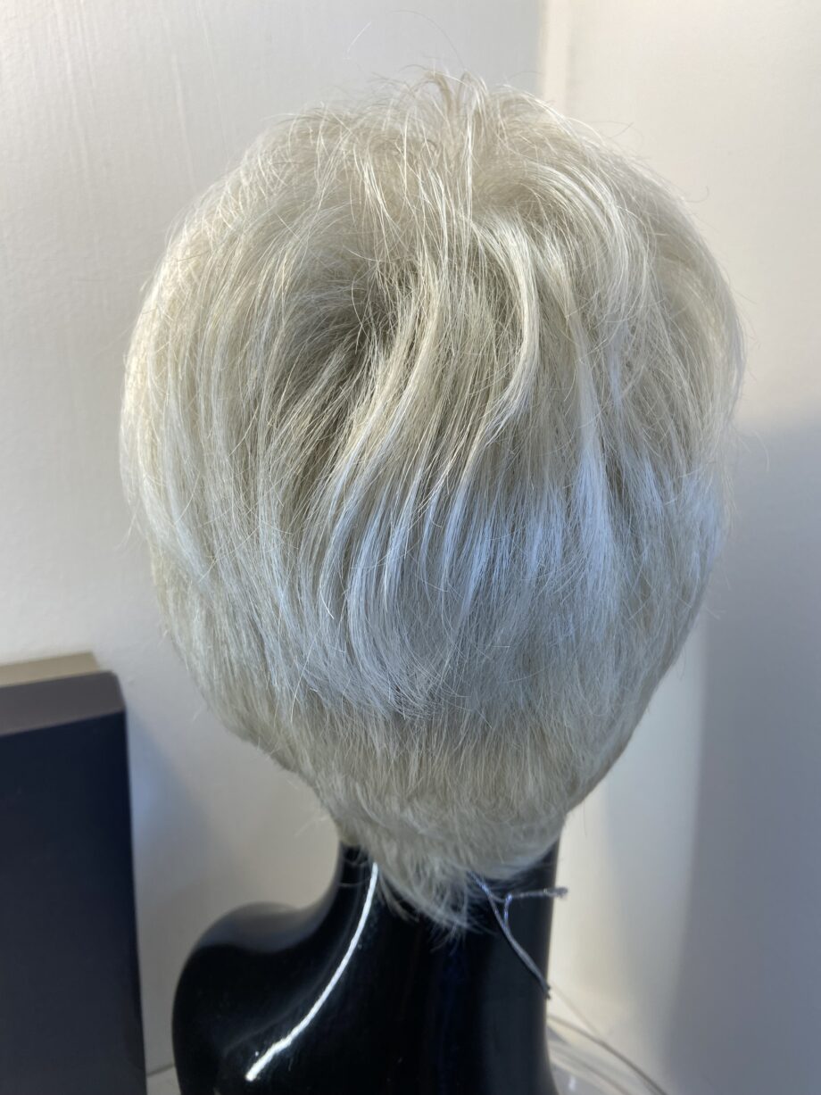 Stunning Silver moon new Gabor wig. Bgss638