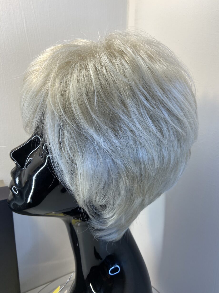 Stunning Silver moon new Gabor wig. Bgss638