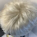 Stunning Silver moon new Gabor wig. Bgss638