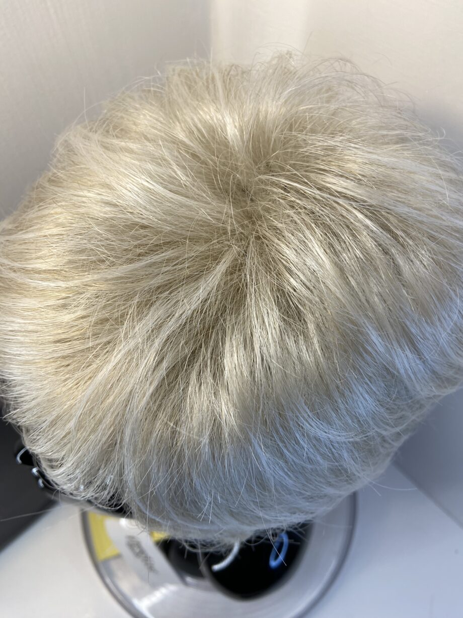 Stunning Silver moon new Gabor wig. Bgss638
