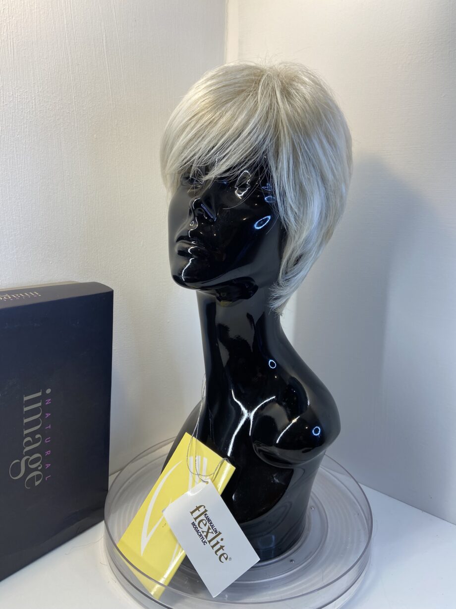 Stunning Silver moon new Gabor wig. Bgss638