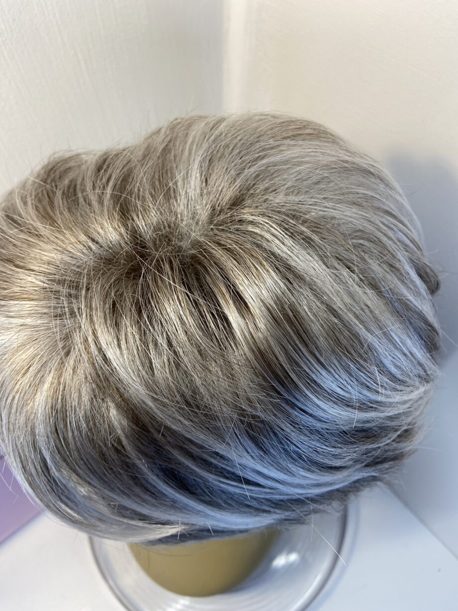 Paula Young Stunning silver grey new wig. Bgss641