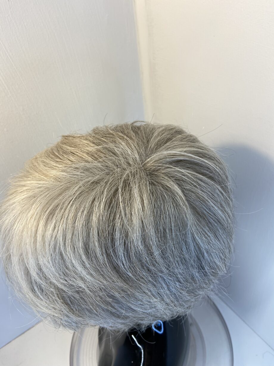 Silver grey short Ellen Wille wig. Gss829