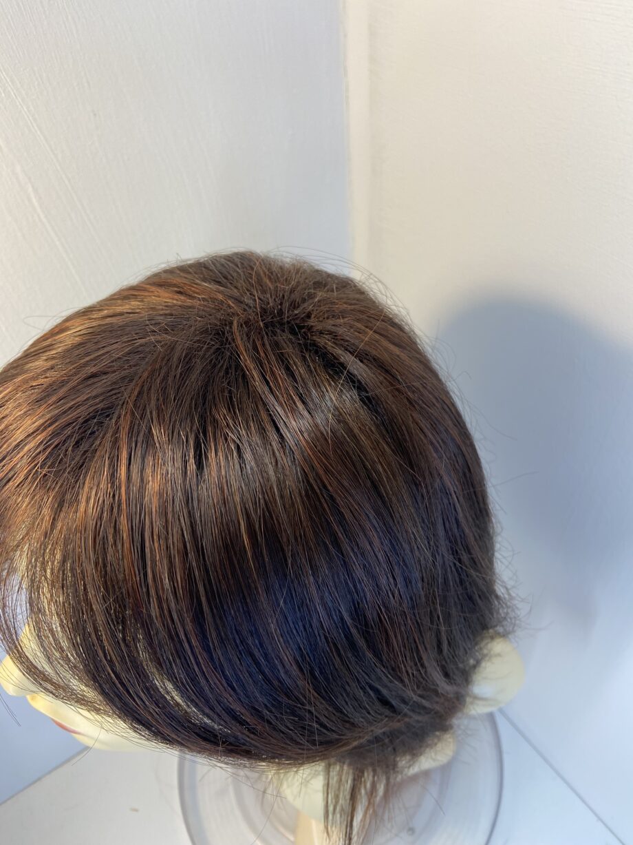Long Rene of Paris wig. Brls3345
