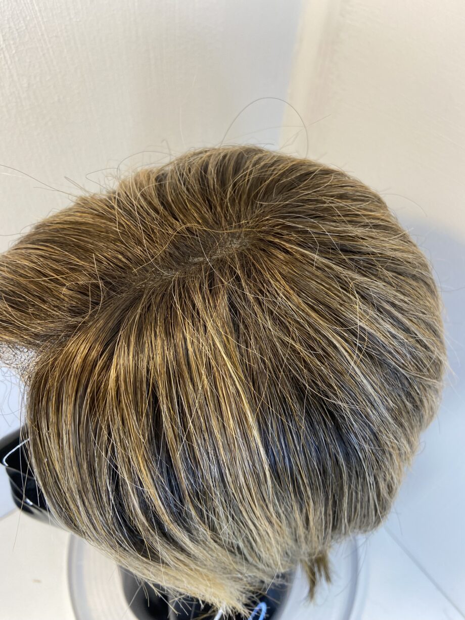 Highlighted brown/blonde wig. Brsw3348