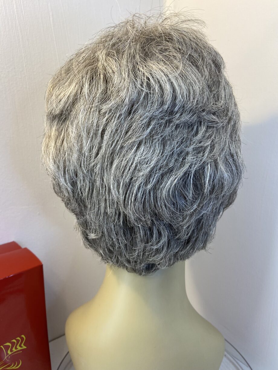 Rene of Paris silver grey wig. Bgss680