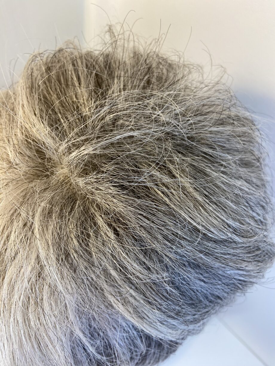 Rene of Paris silver grey wig. Bgss680