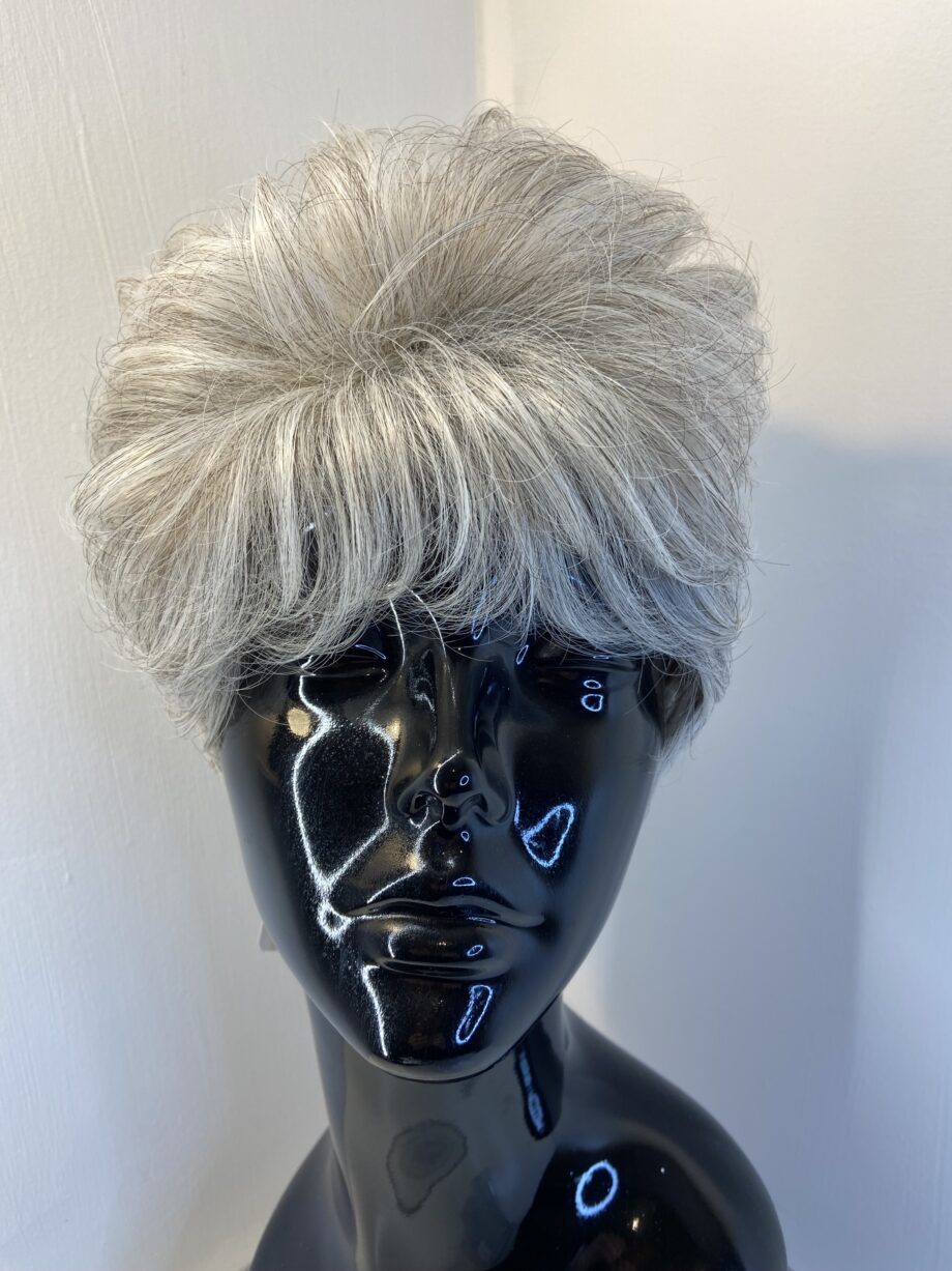 New short silver grey wig. Gsw771