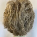 Brown Gabor designer wig. Brsw139