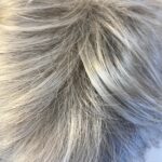 Silver grey short designer wig. Bgss696