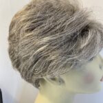 Salt and pepper short Ellen Wille wig. Bgsw710