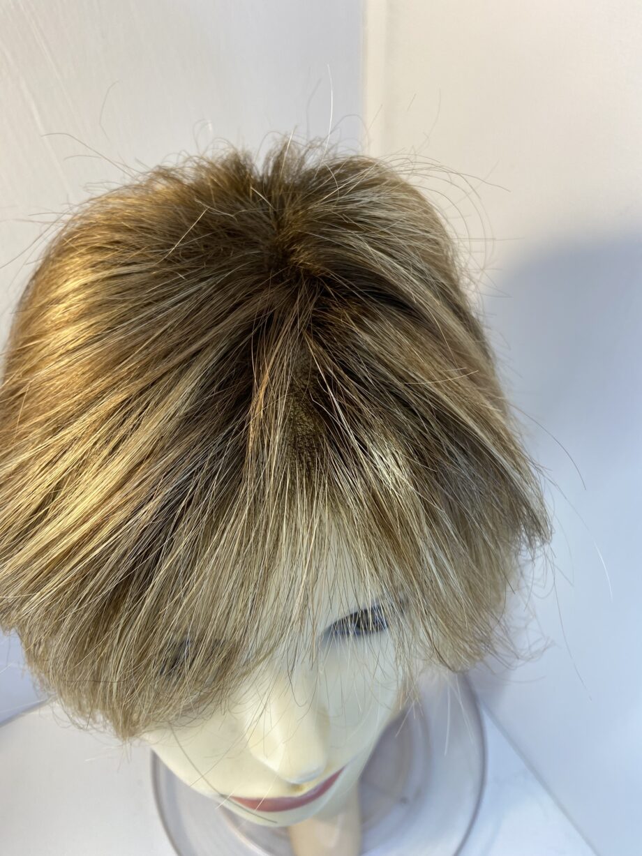 Blonde Ellen Wille wig. Blms845