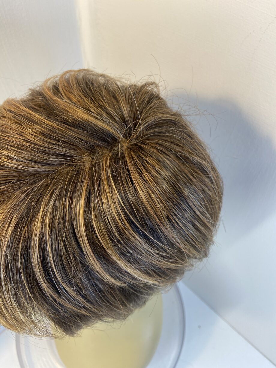 Short brown highlighted wig. Bbrss781