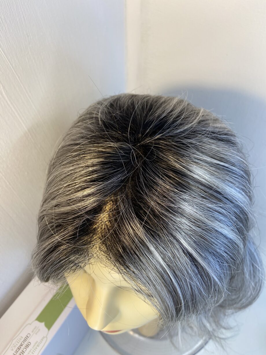 New stunning long silver grey wavy Estetica wig. Bglw796
