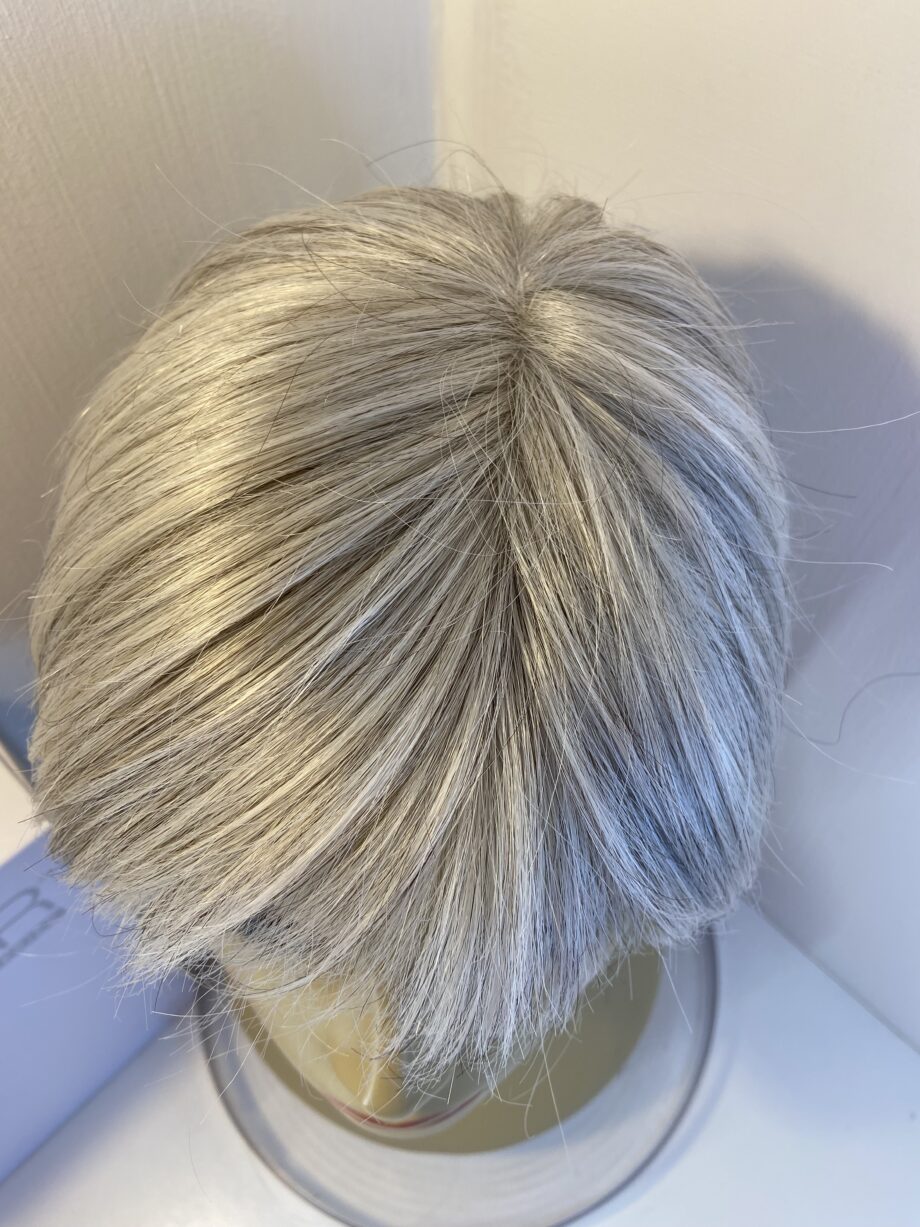 Gabour silver grey wig. Bgss783