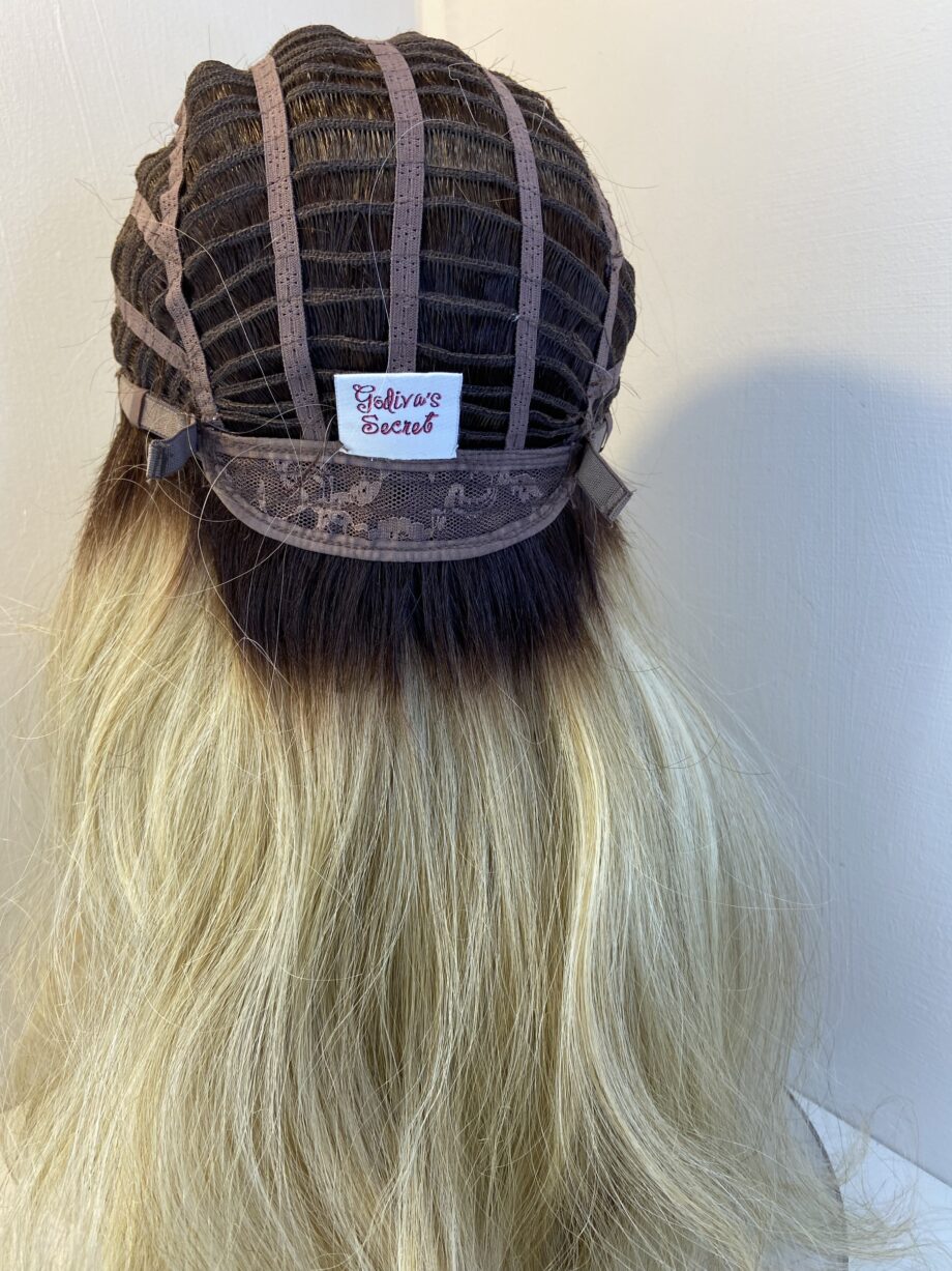 Stunning blonde rooted long wig bllw303