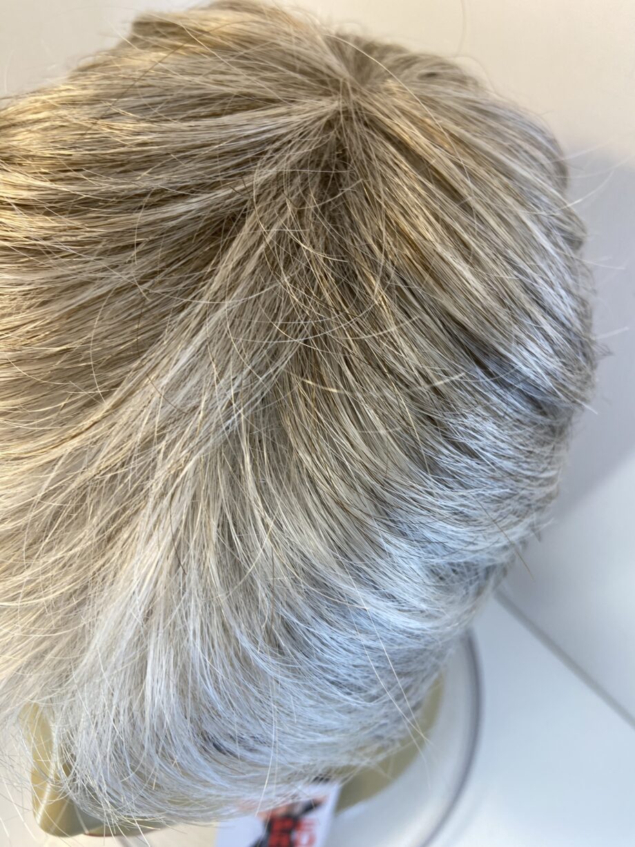 New silver grey wig. Bgss797