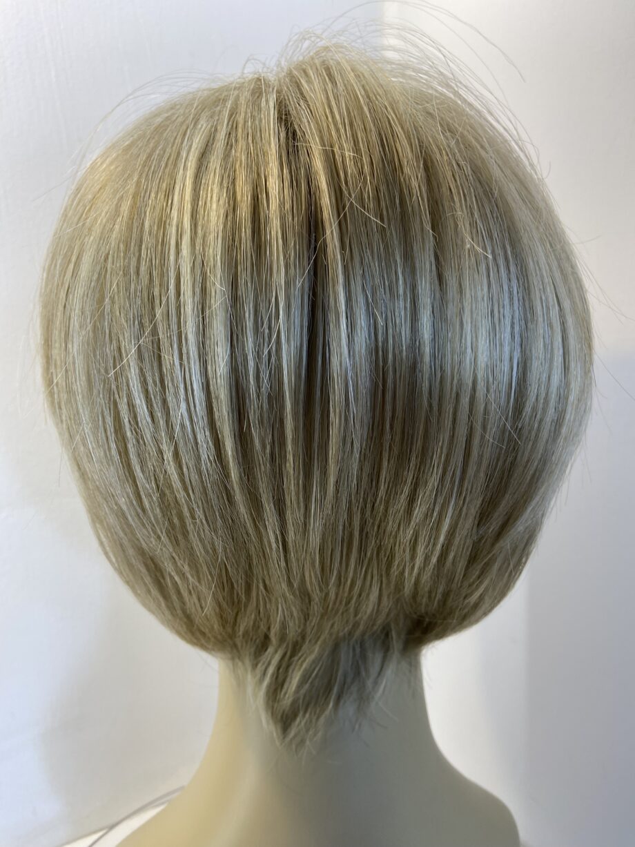 New Rene of Paris wig. Blss869