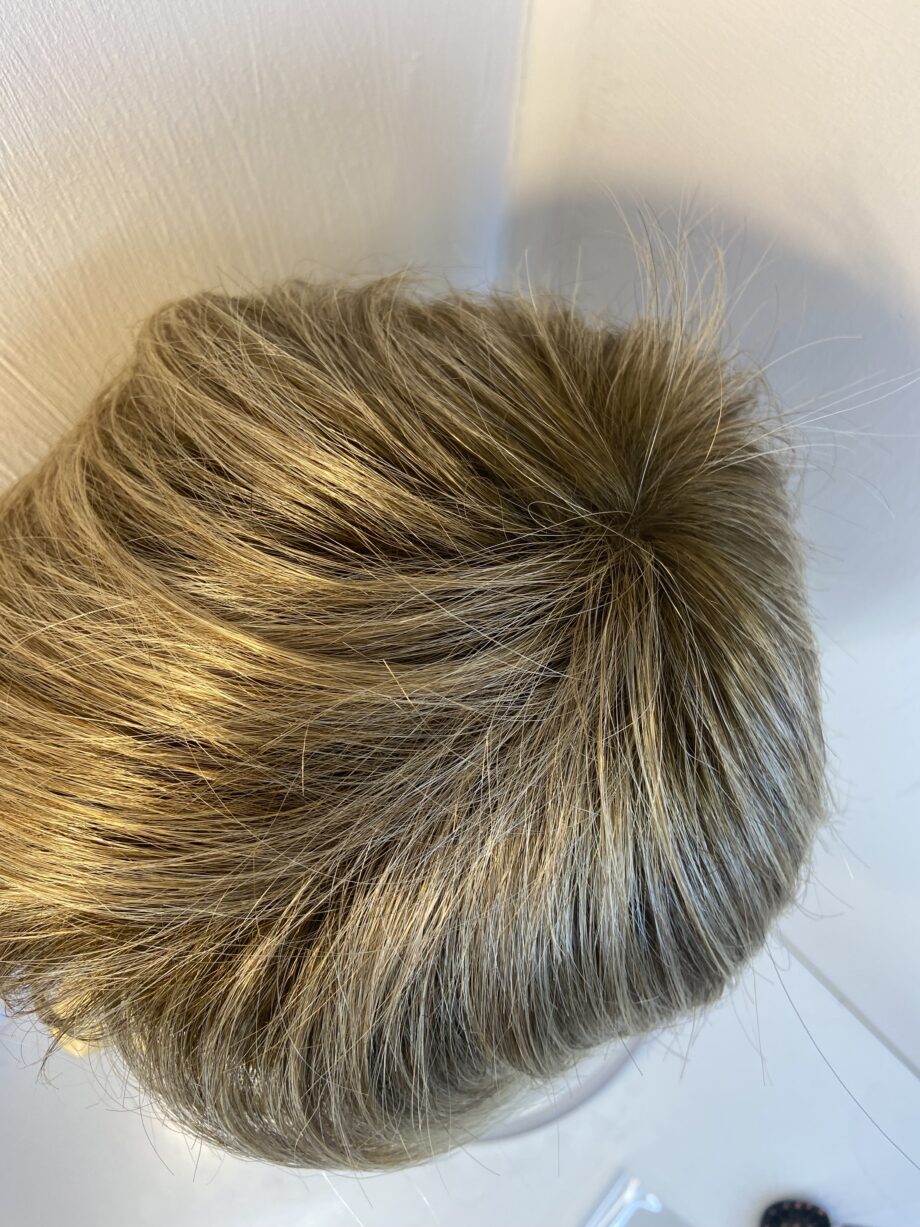 Sandy blonde Ellen Wille wig. Blms522