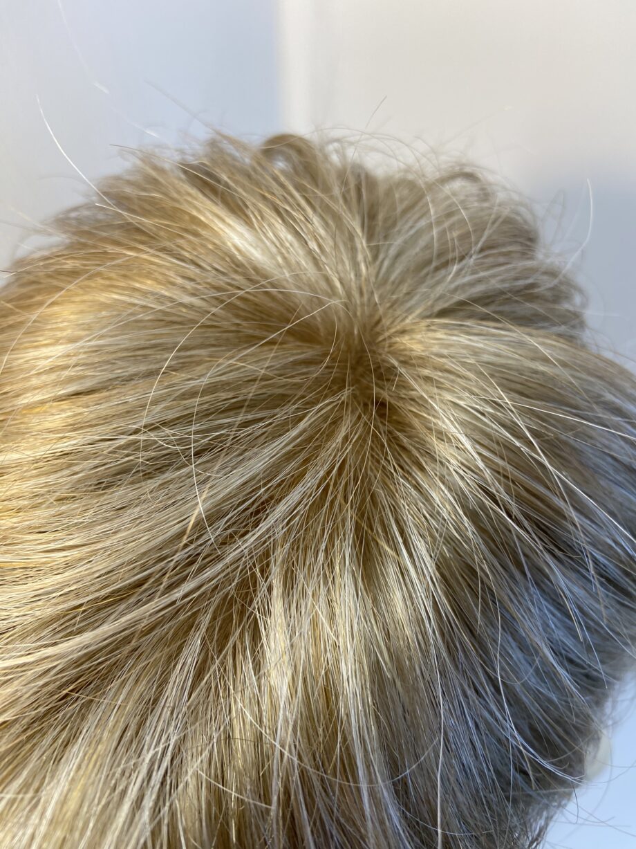 Blonde Ellen Wille stylish wig. Blss672