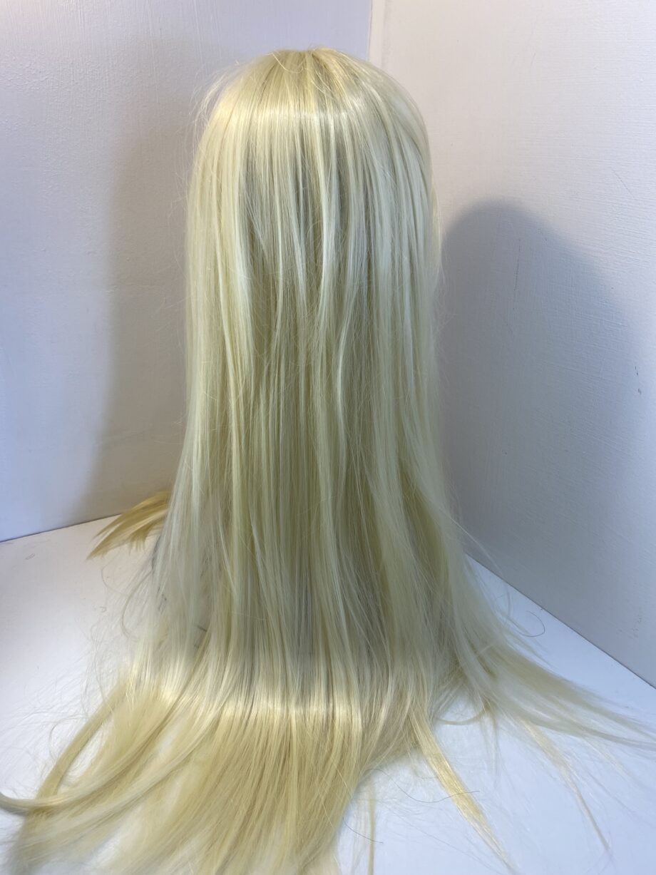 Extra long blonde new wig. Blls249
