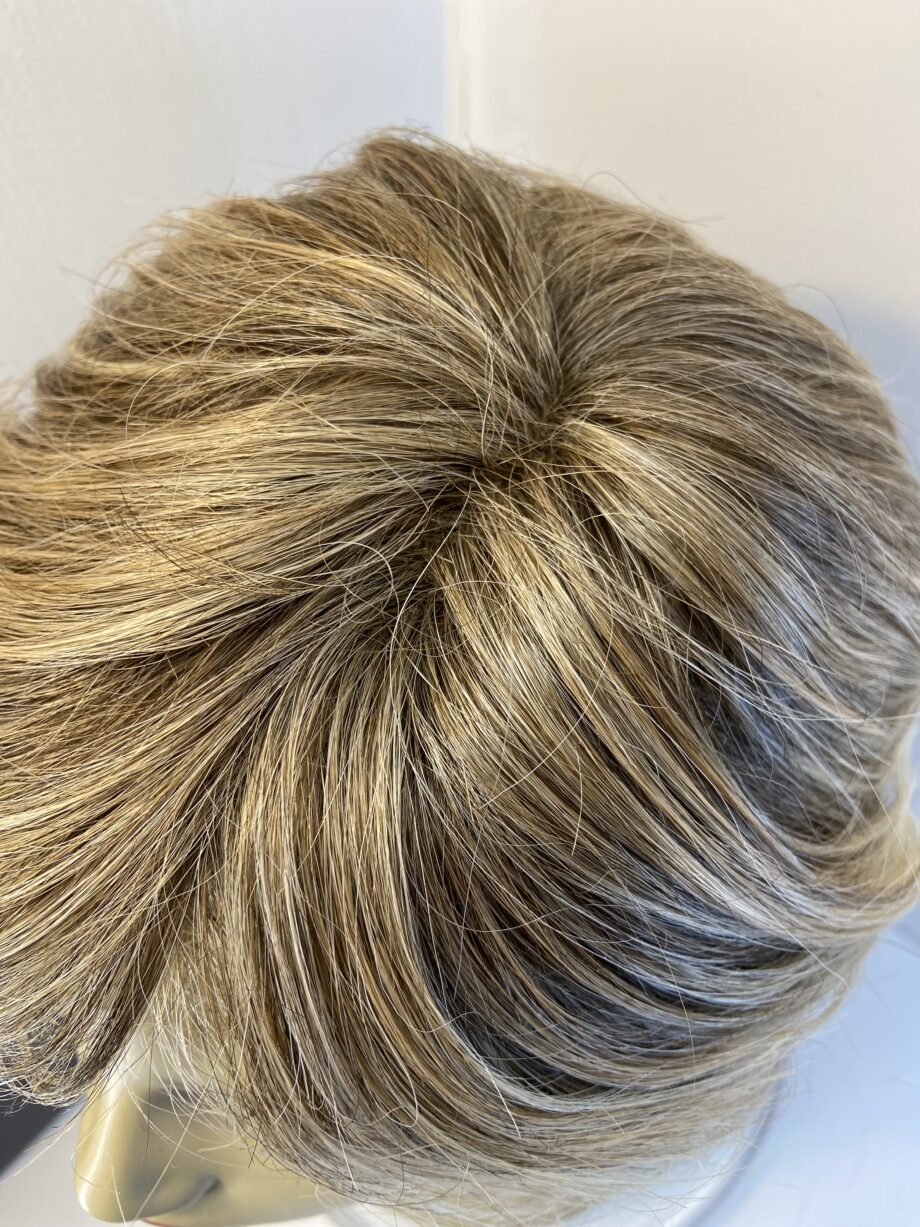 Short brown/blonde wig. Bblss807