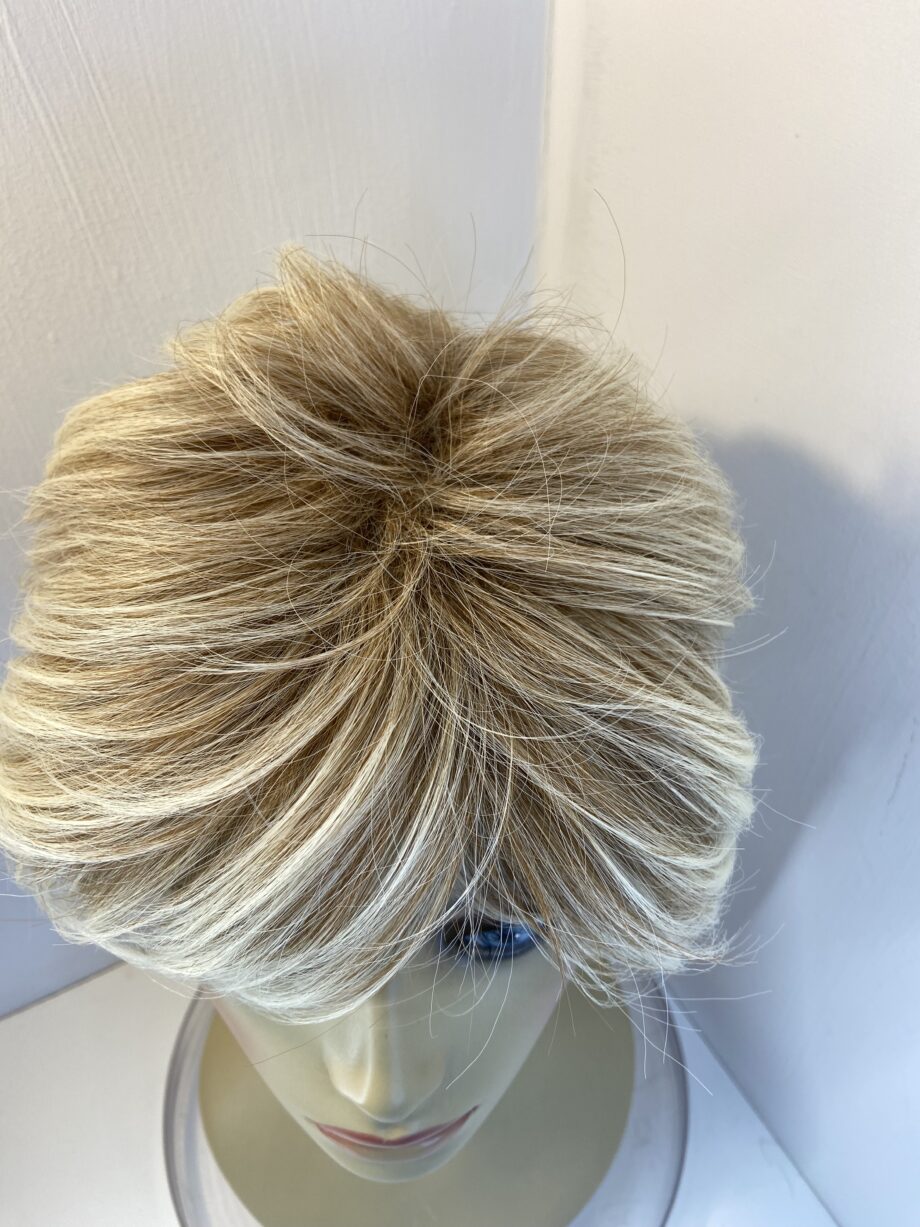 New very stylish blonde wig. Blsw881