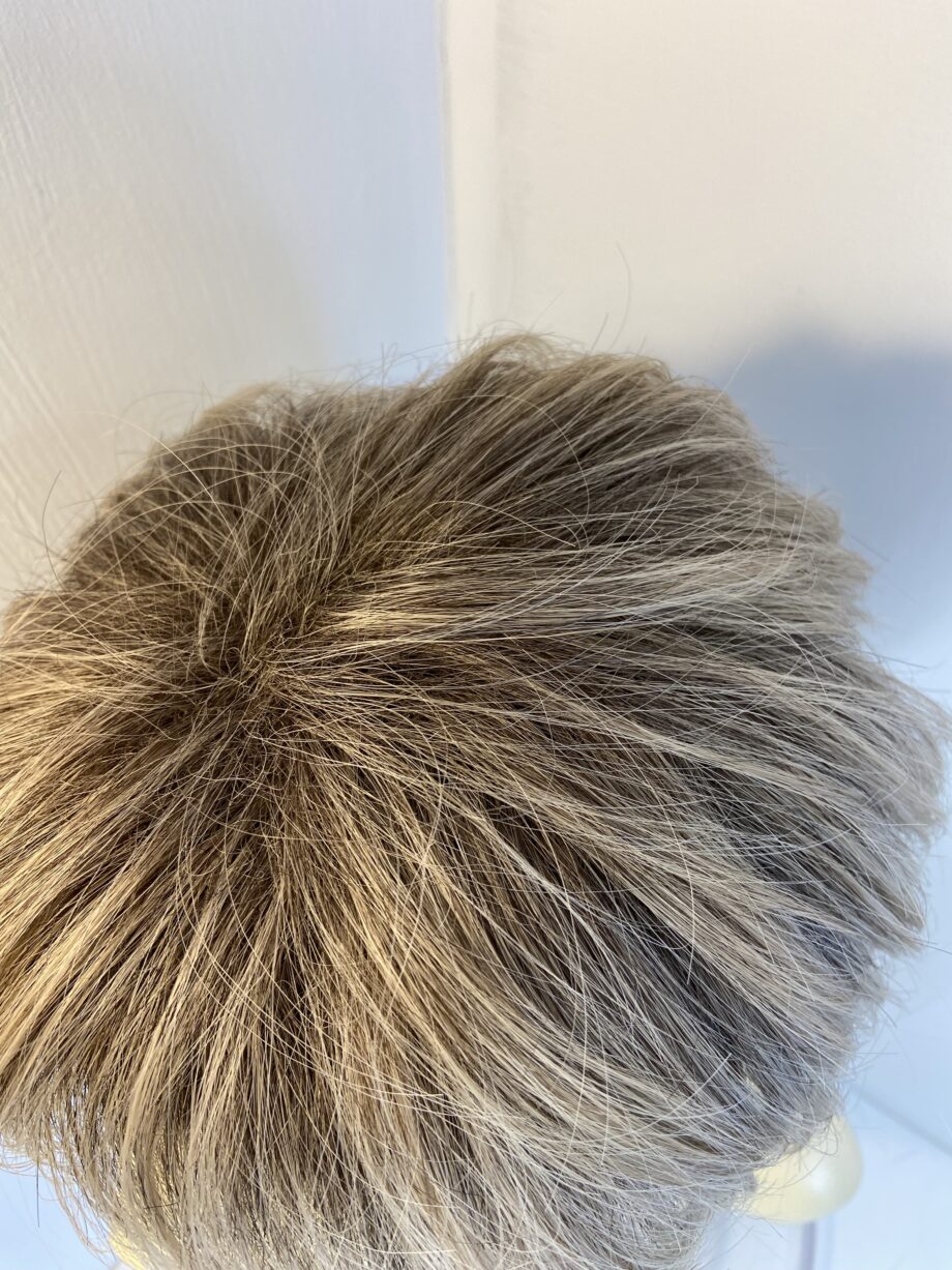 Blonde rooted short wig. Blss886