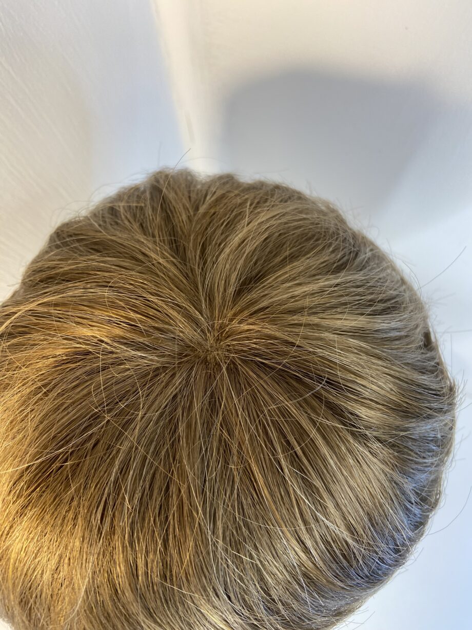 New autumn harvest short wig. Bbrss831